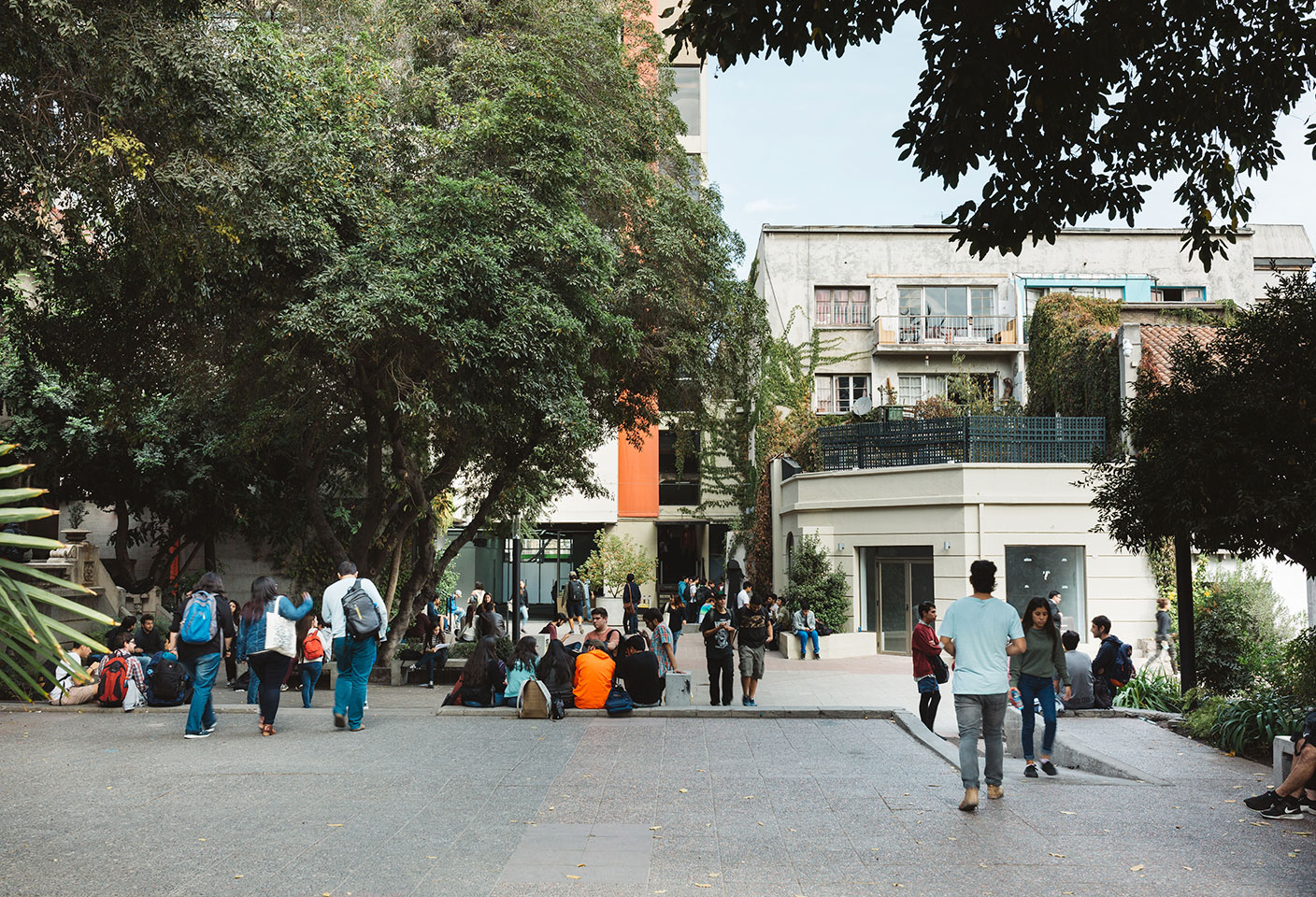 bloque_proposito