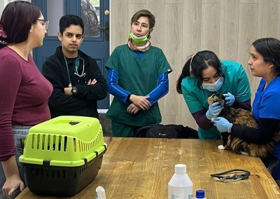 Más de 30 mascotas asistieron a operativo gratuito en nuestra Universidad